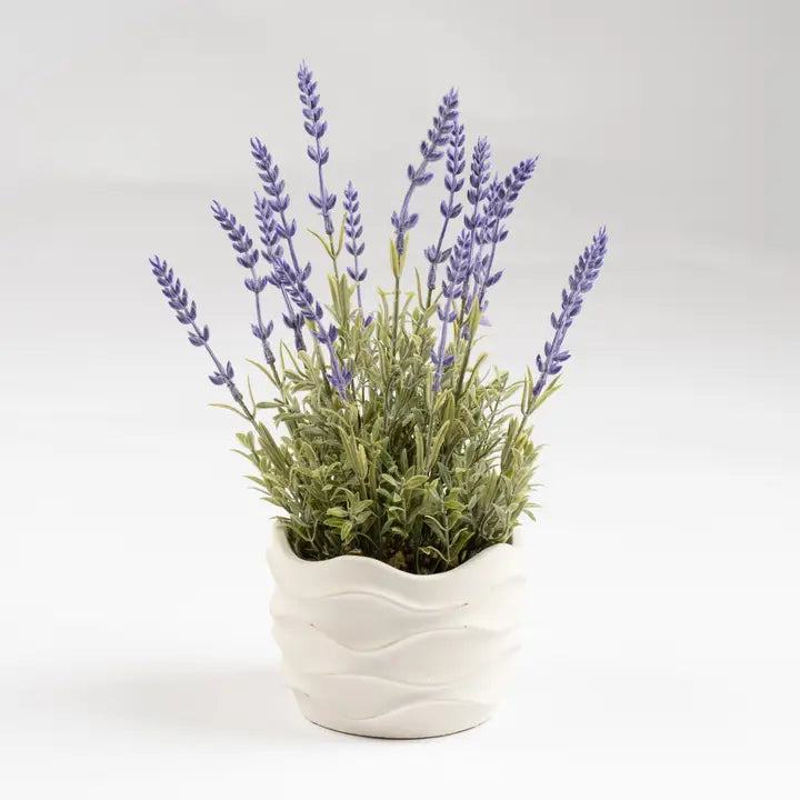 33cm Lavender in Wavy Cement Pot
