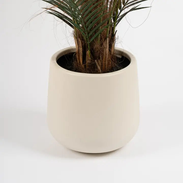 125cm Palm Tree in White Pot