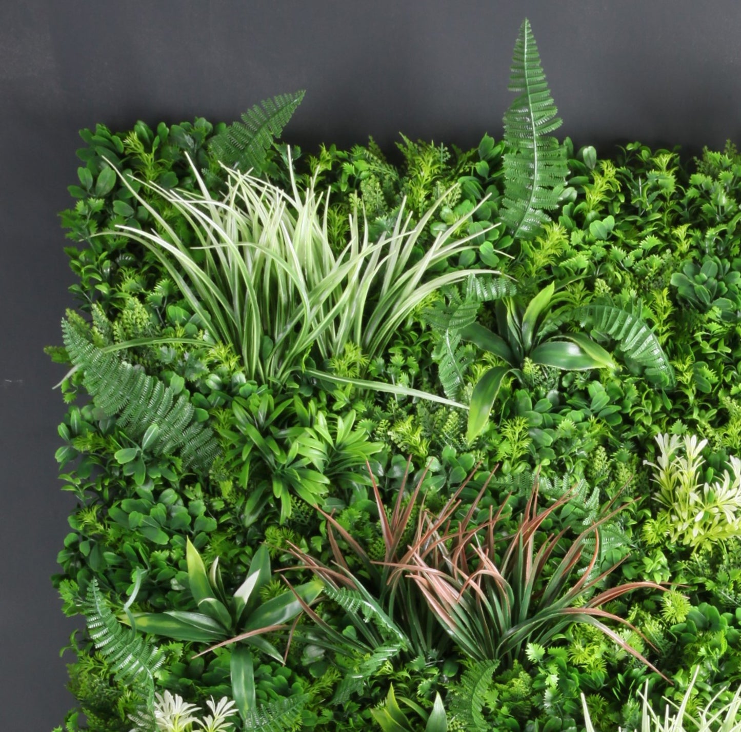 100cm X 100cm Living Wall Panel - Mixed Grasses