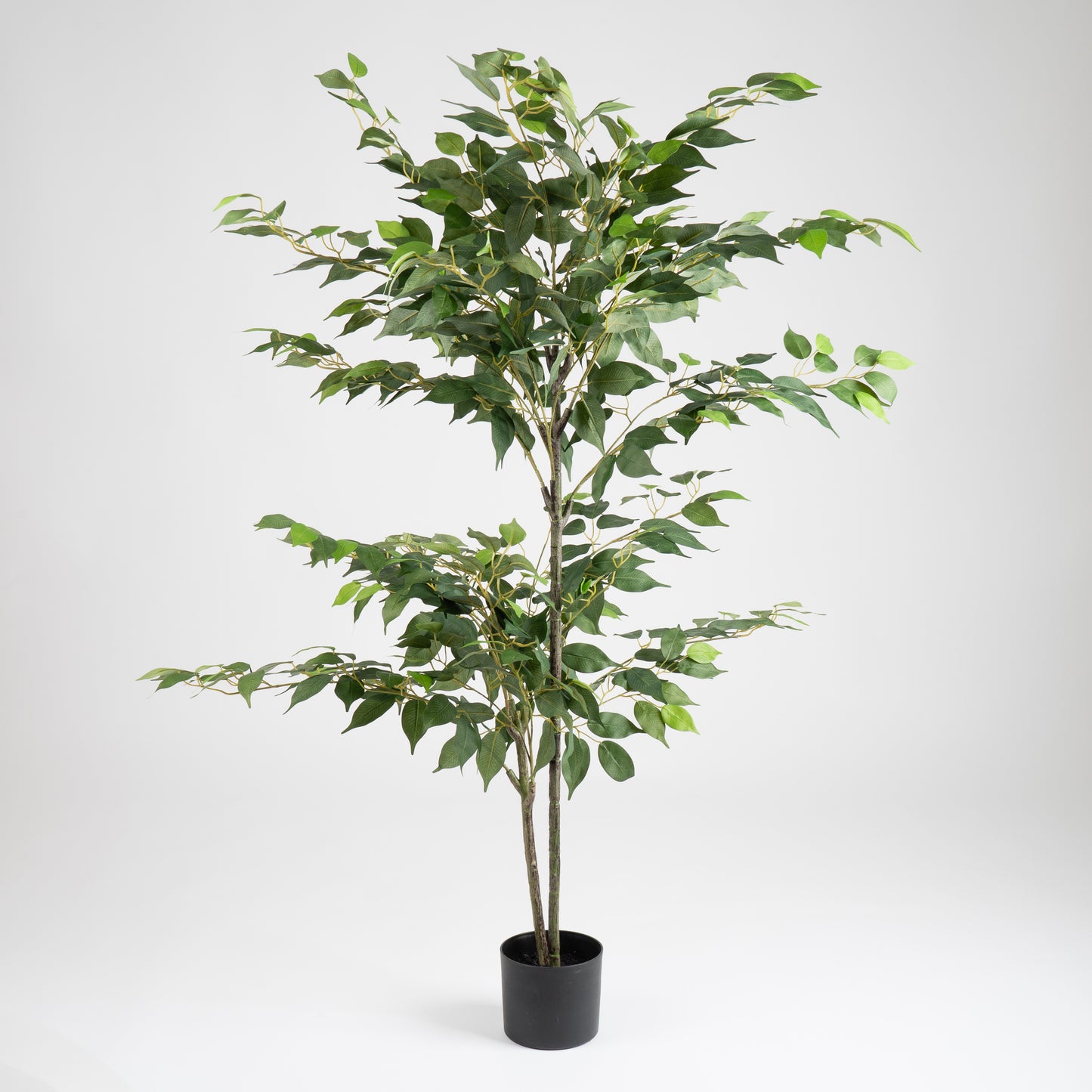 140cm Ficus Tree