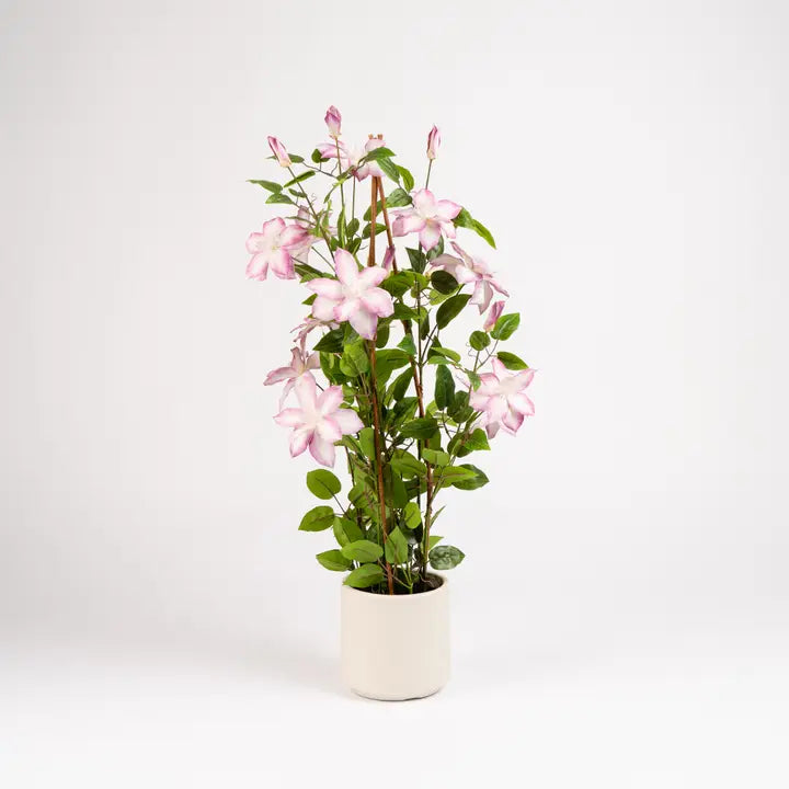 98cm Real Touch Climbing Clematis in White Pot