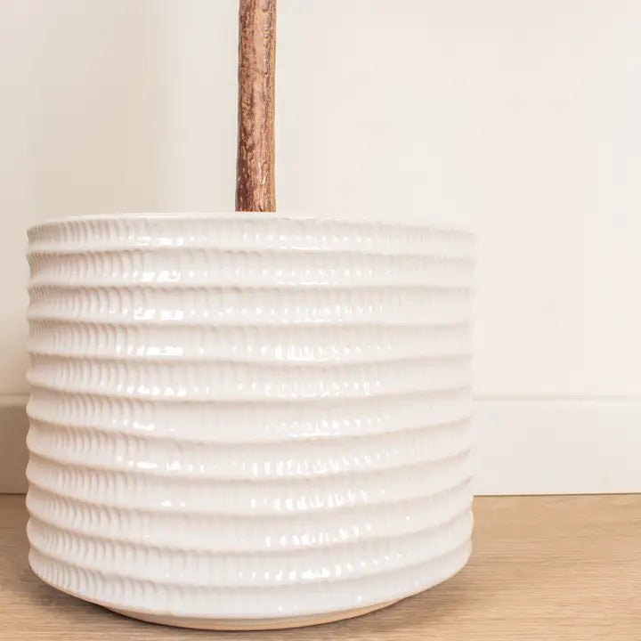 110cm Olive Tree in Ceramic Pot