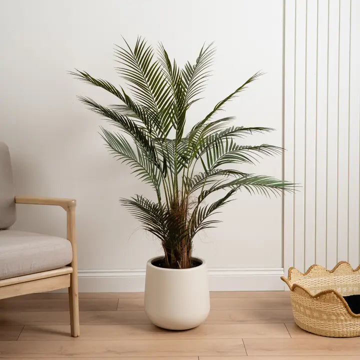 125cm Palm Tree in White Pot