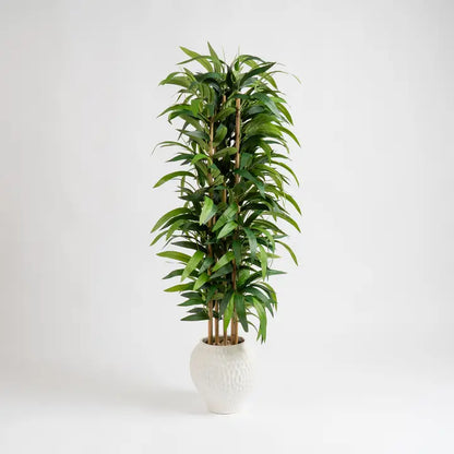 130cm Slimline Bamboo Tree in Dimpled Ceramic Pot