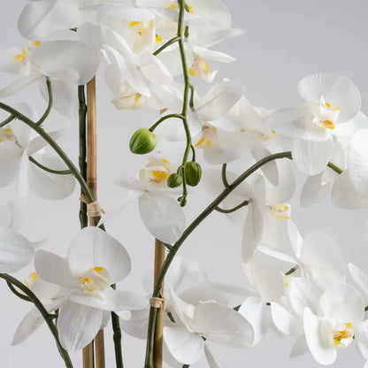 110cm Real Touch Phalaenopsis Orchid in Pot