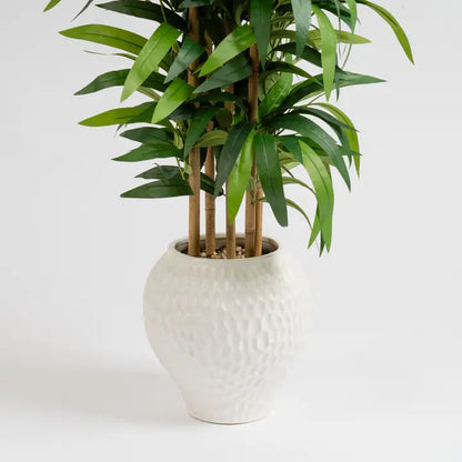 130cm Slimline Bamboo Tree in Dimpled Ceramic Pot