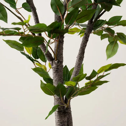 155cm Real Touch Mini Ficus Tree in Pot