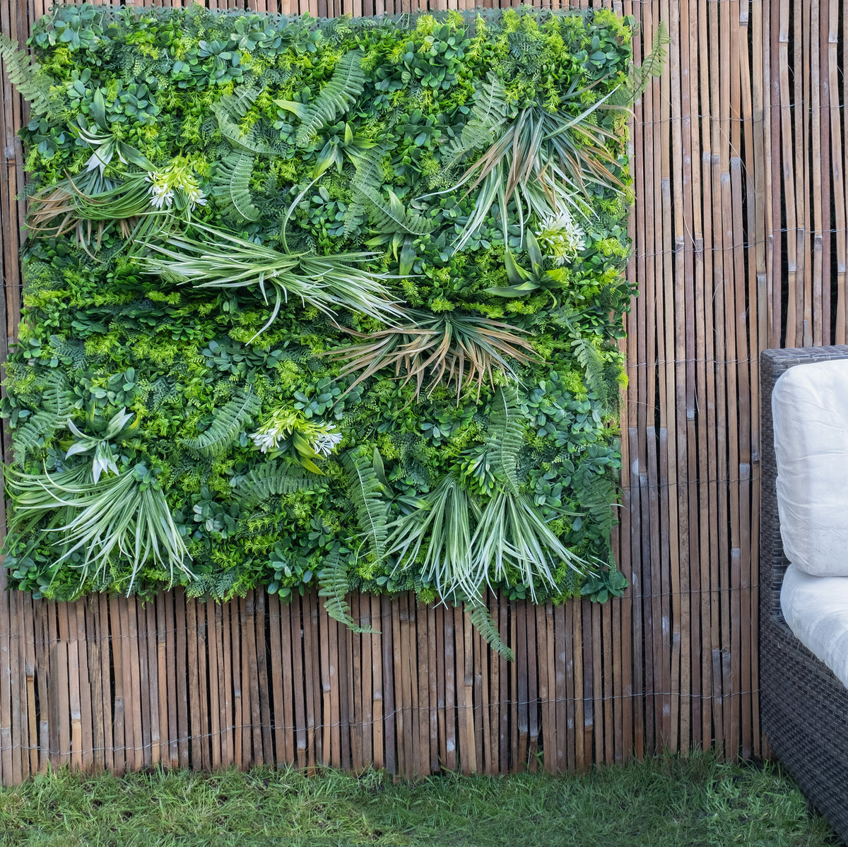 100cm X 100cm Living Wall Panel - Mixed Grasses