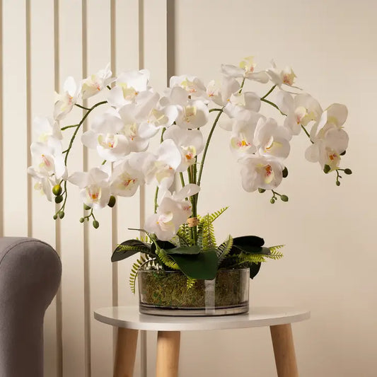 55cm Real Touch 5-Stem Orchid with Fern in Glass Pot