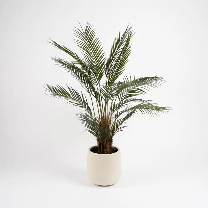 125cm Palm Tree in White Pot