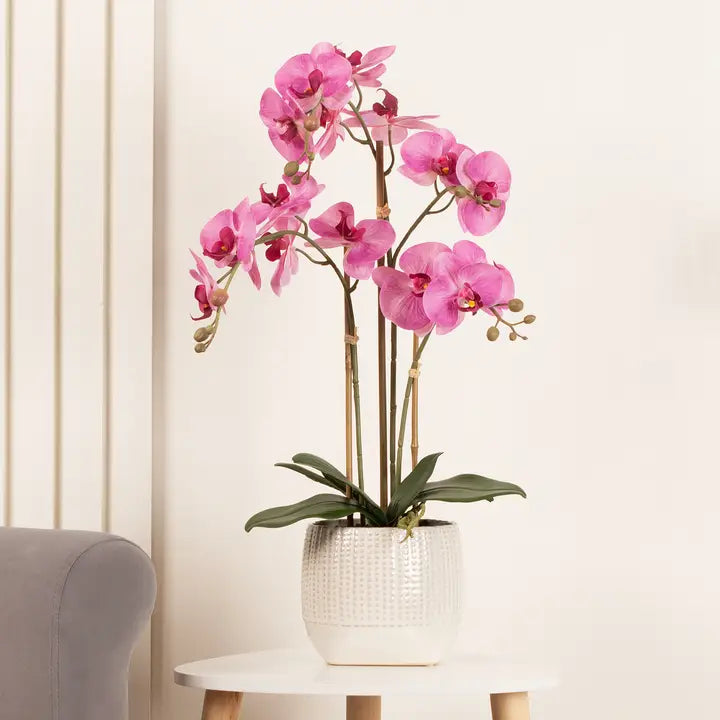62cm Real Touch 3-Stem Pink Phalaenopsis Orchid in Ceramic