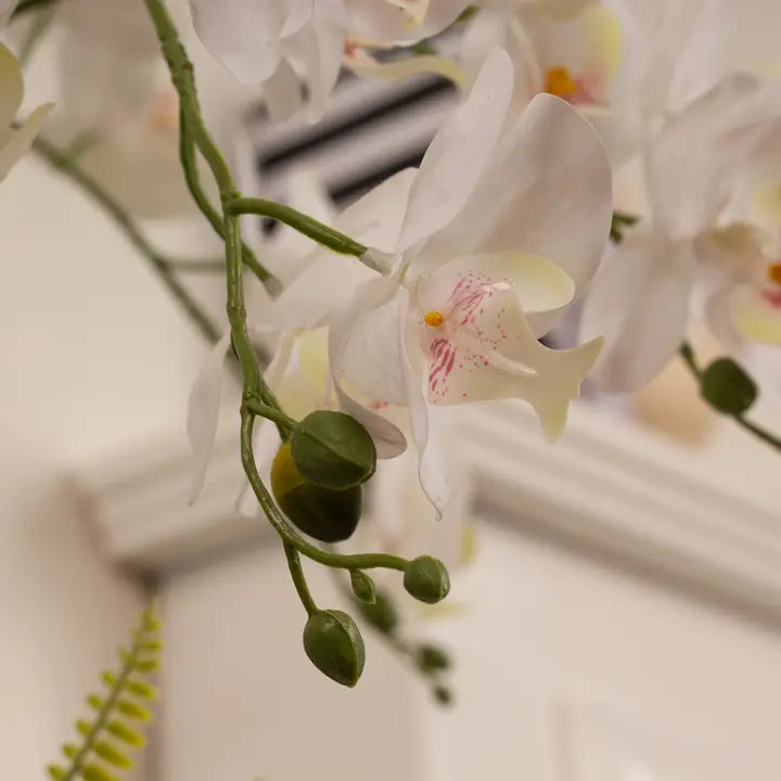 55cm Real Touch 5-Stem Orchid with Fern in Glass Pot