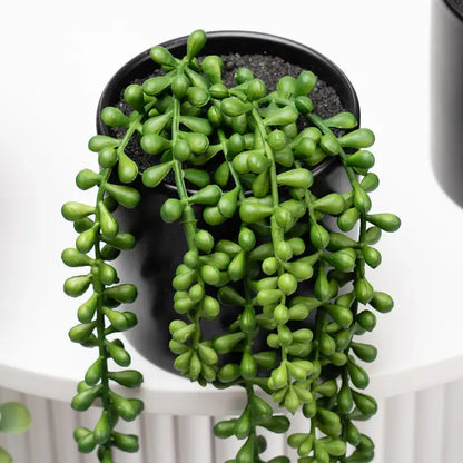 Set of 3 Trailing Plants in Matte Black Ceramic Pots
