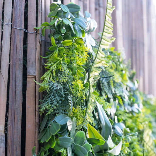 100cm X 100cm Living Wall Panel - Mixed Grasses