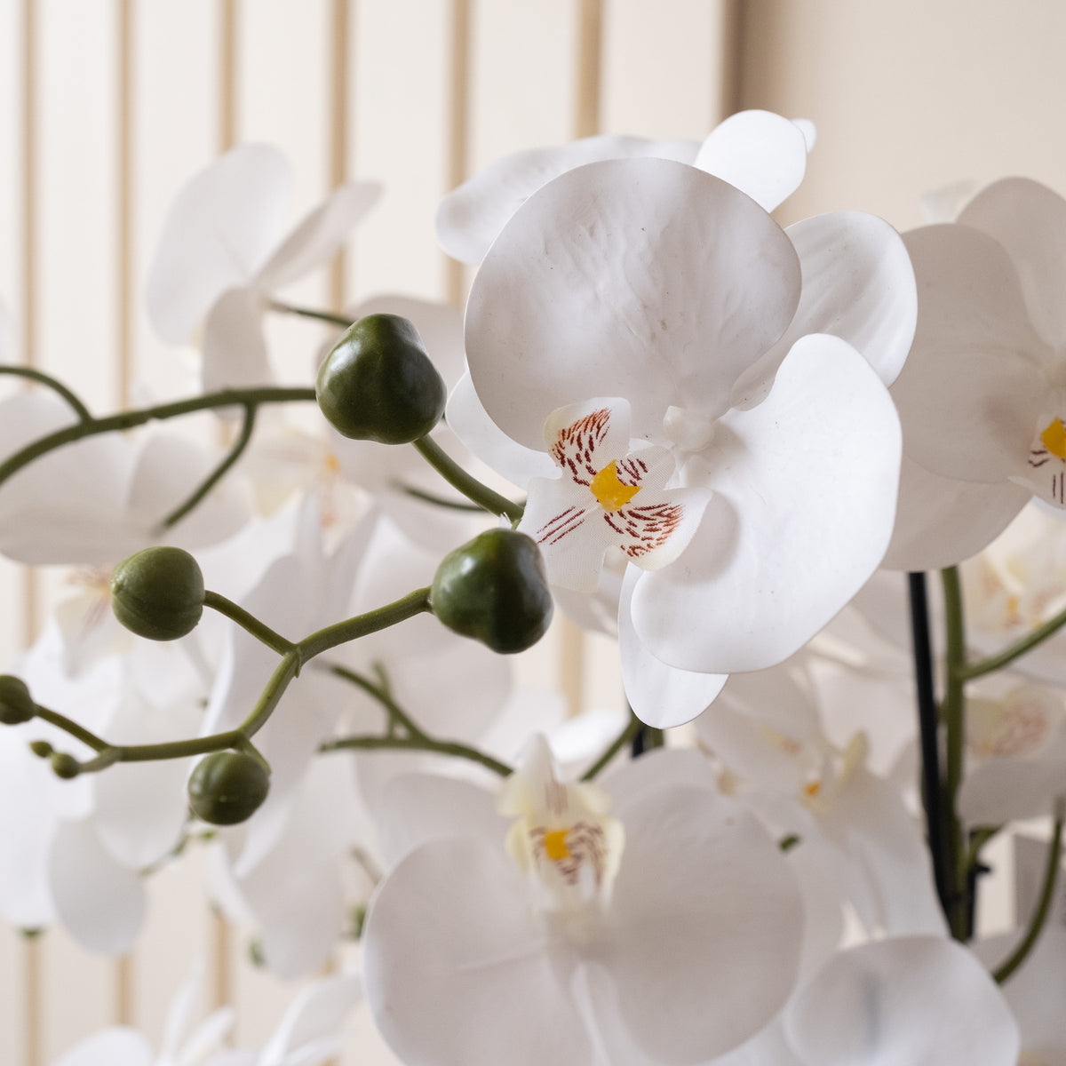 68cm Real Touch 10-stem Orchid in Grey Ceramic Pot