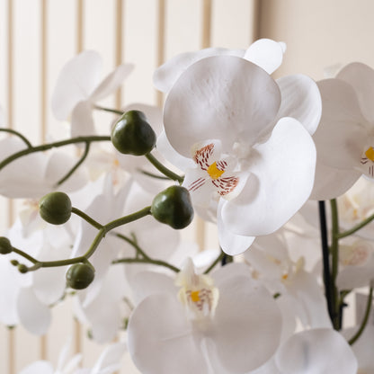 68cm Real Touch 10-stem Orchid in Grey Ceramic Pot