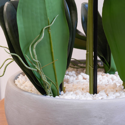 68cm Real Touch 10-stem Orchid in Grey Ceramic Pot
