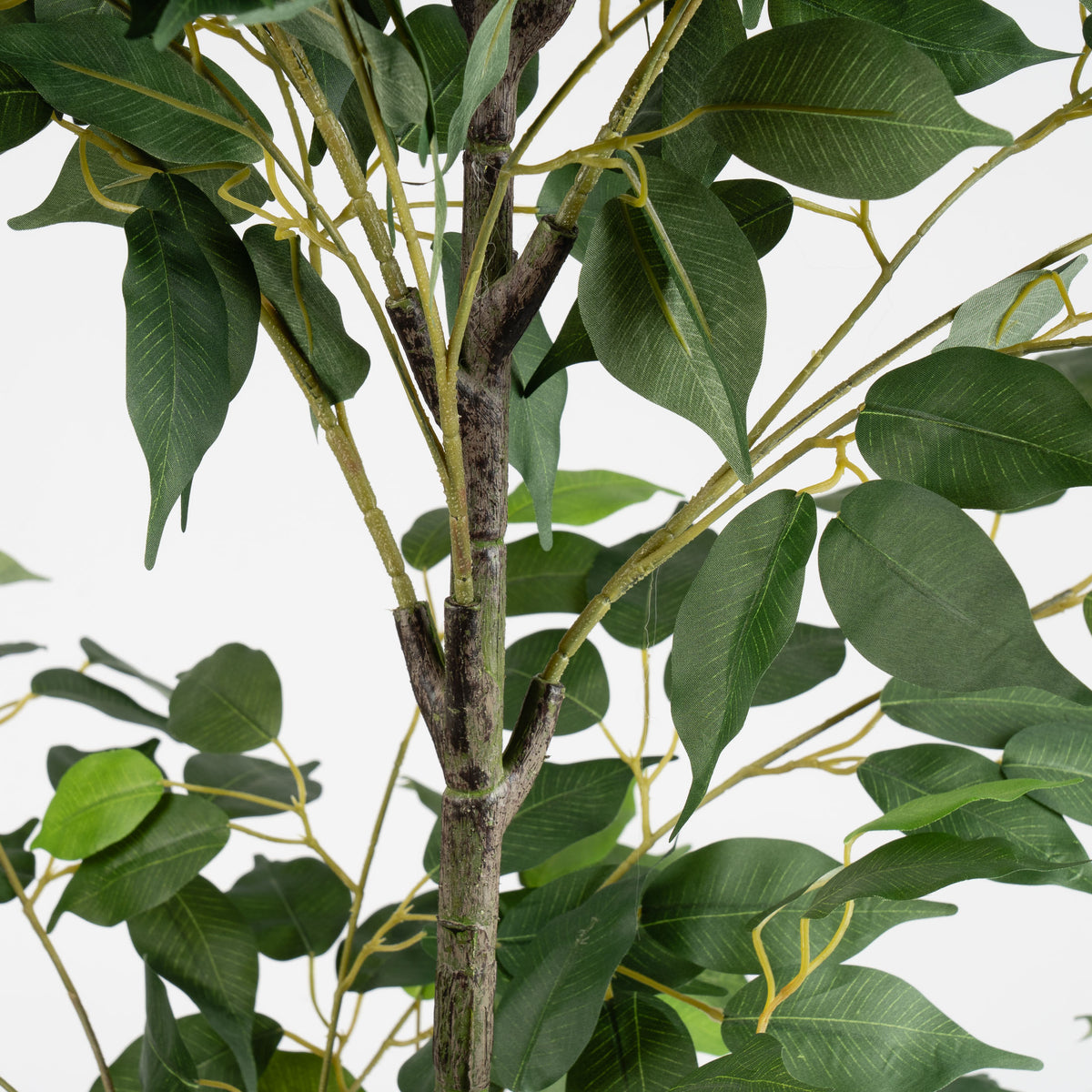 140cm Ficus Tree