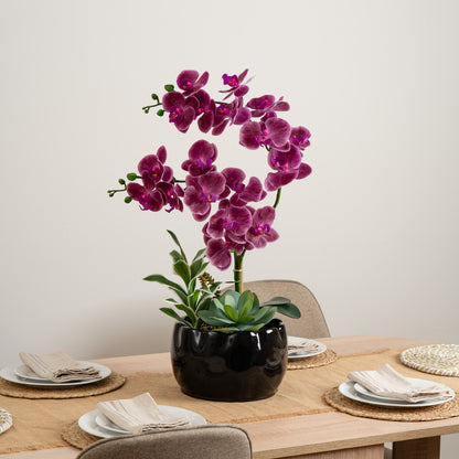 60cm Pink Orchid in Black Ceramic Pot