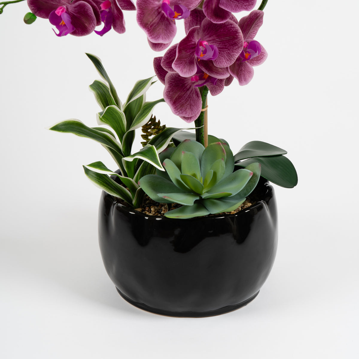 60cm Pink Orchid in Black Ceramic Pot