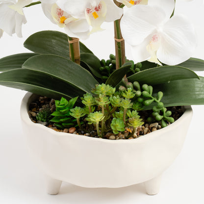 50cm White Orchid in Footed Cement Pot