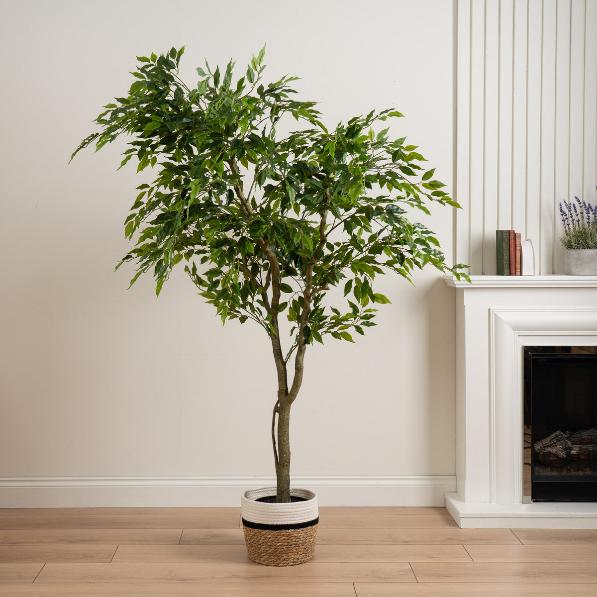 170cm Real touch Ficus in plastic pot