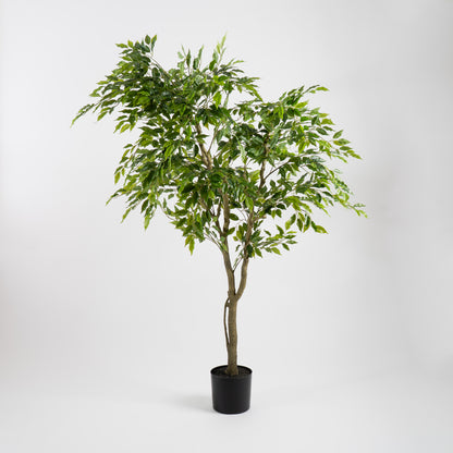 170cm Real touch Ficus in plastic pot