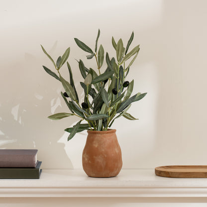37cm Olive Plant in Rustic Pot