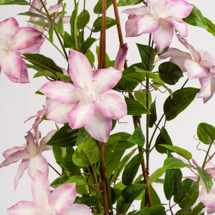 98cm Real Touch Climbing Clematis in White Pot