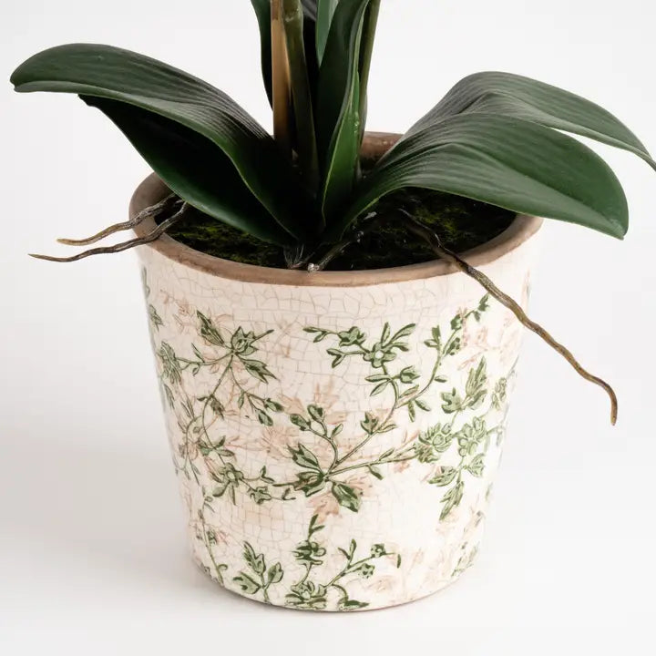 61cm Real Touch Orange Phalaenopsis Orchid in Pot
