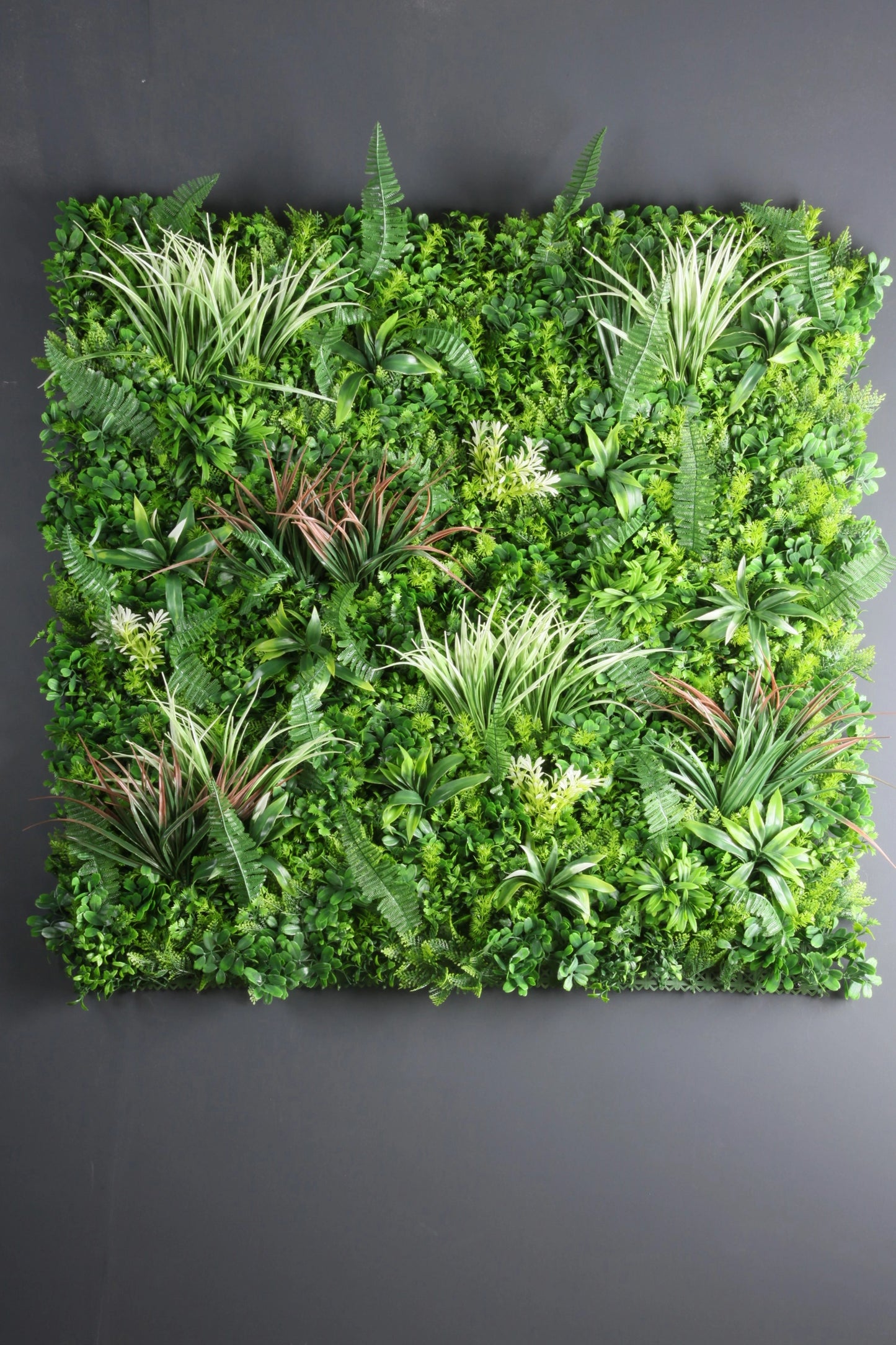 100cm X 100cm Living Wall Panel - Mixed Grasses