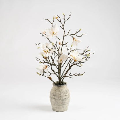 71cm Magnolia in Resin Pot