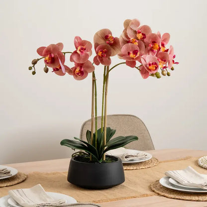 65cm Real Touch Phalaenopsis Spray in Black Pot