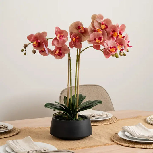 65cm Real Touch Phalaenopsis Spray in Black Pot
