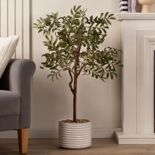 110cm Olive Tree in Ceramic Pot