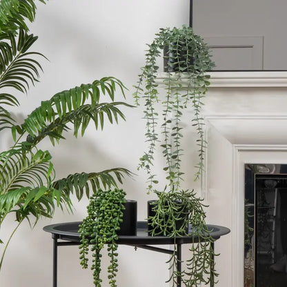 Set of 3 Trailing Plants in Matte Black Ceramic Pots