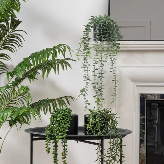 Set of 3 Trailing Plants in Matte Black Ceramic Pots