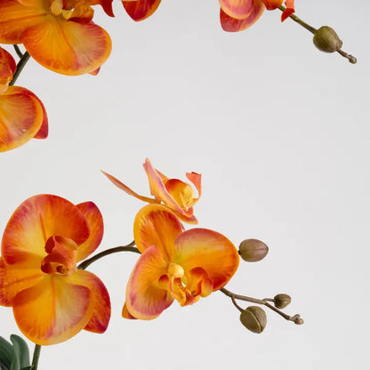 61cm Real Touch Orange Phalaenopsis Orchid in Pot
