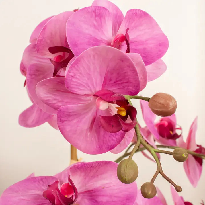 62cm Real Touch 3-Stem Pink Phalaenopsis Orchid in Ceramic